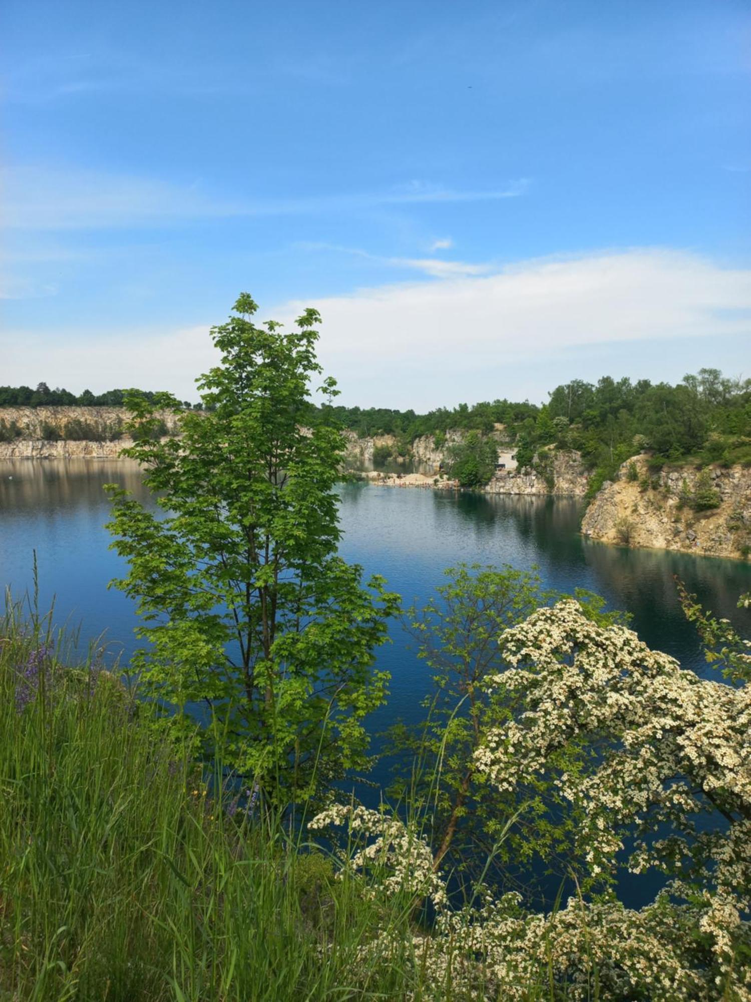 Greenthumb Praska Краків Екстер'єр фото
