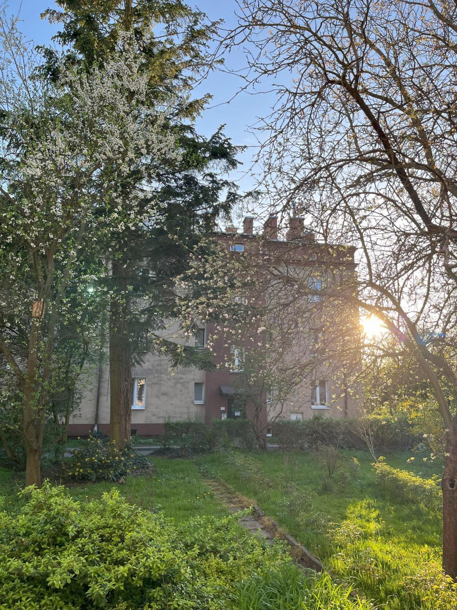 Greenthumb Praska Краків Екстер'єр фото