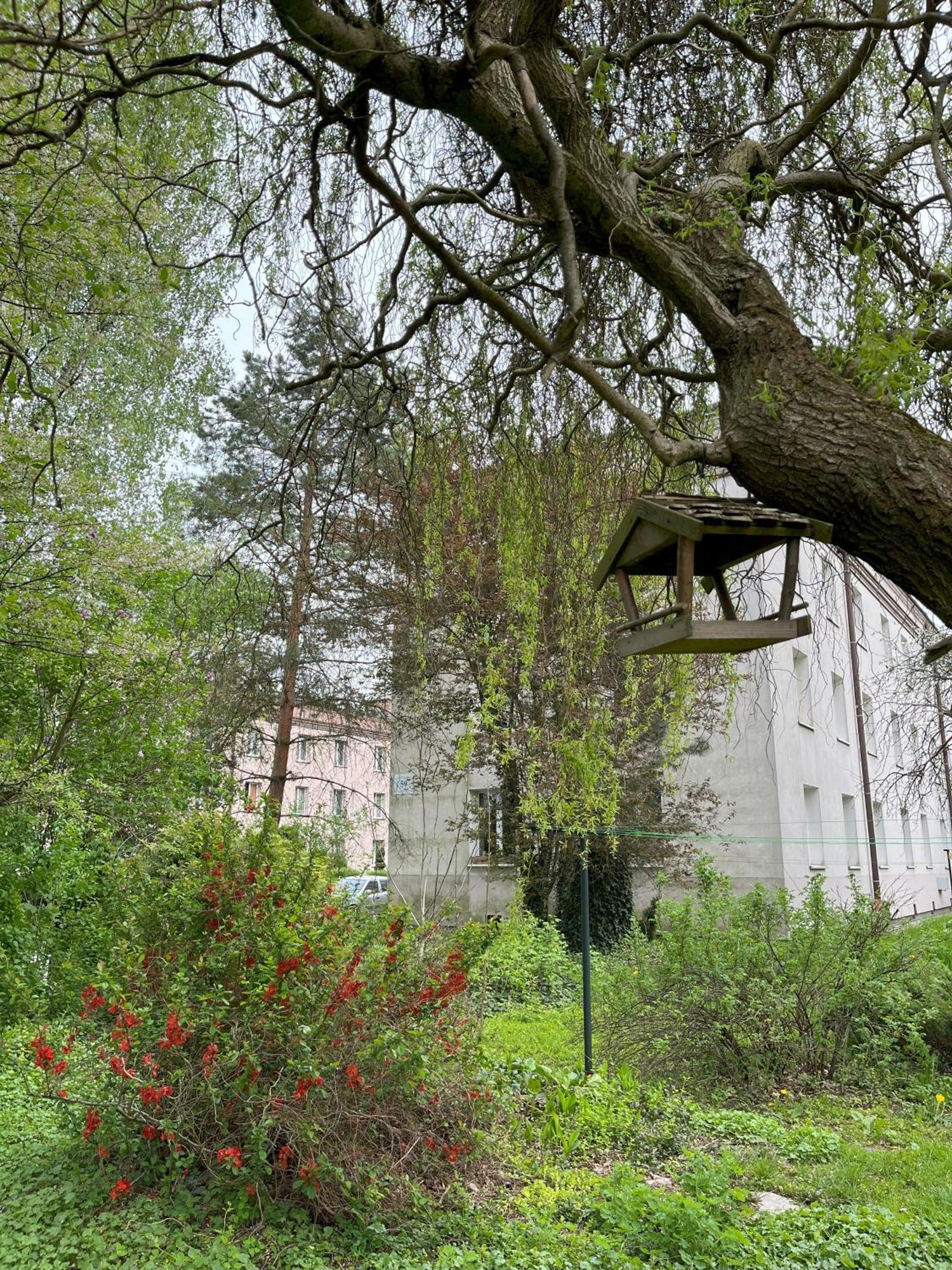 Greenthumb Praska Краків Екстер'єр фото
