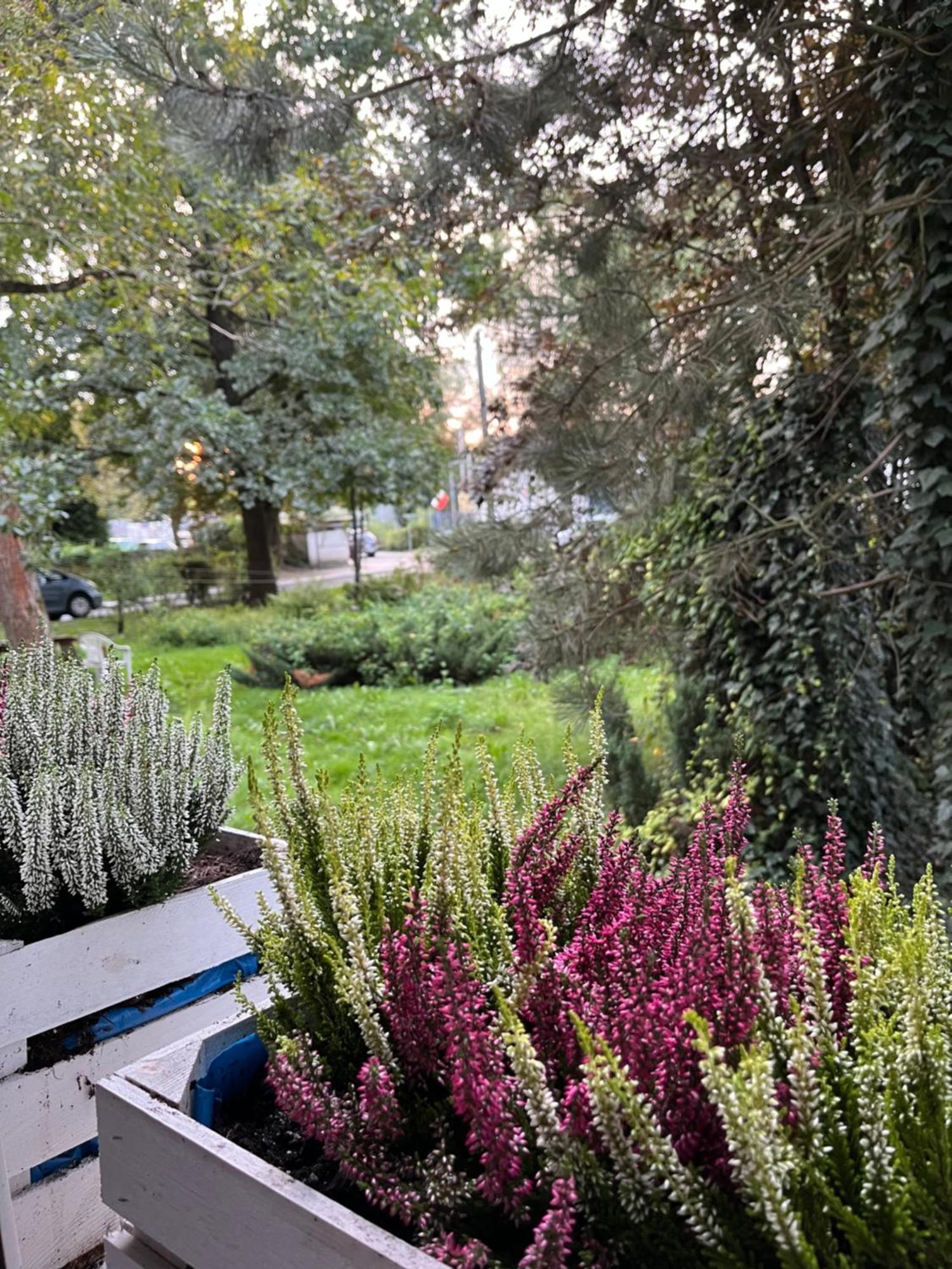 Greenthumb Praska Краків Екстер'єр фото